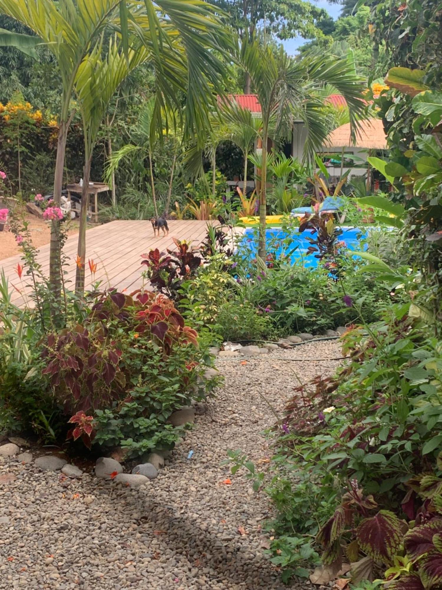 Hotel Mecca Puerto Viejo de Talamanca Zewnętrze zdjęcie