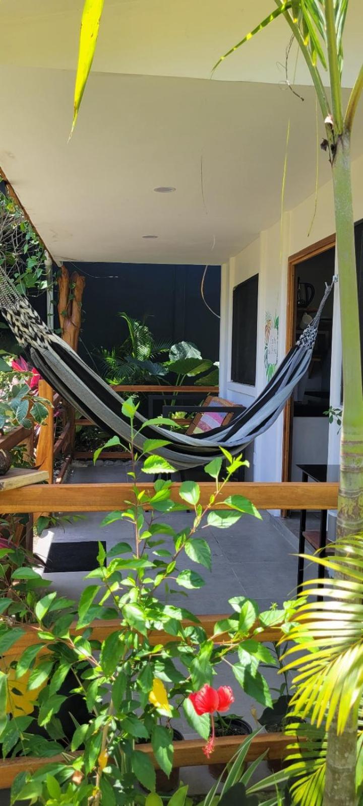 Hotel Mecca Puerto Viejo de Talamanca Zewnętrze zdjęcie